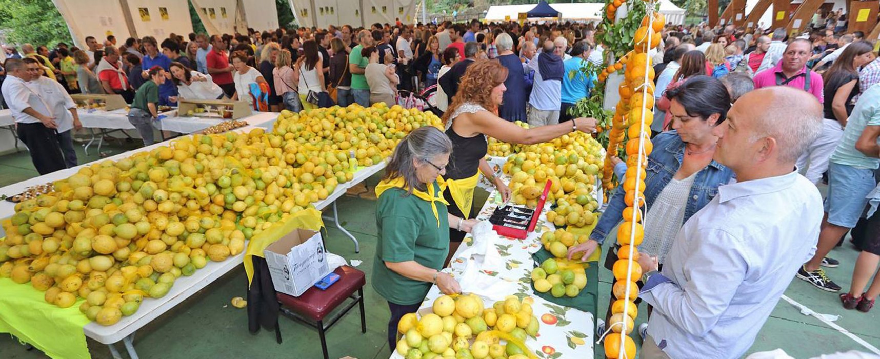 Limones Solidarios diversifica sus fines sociales